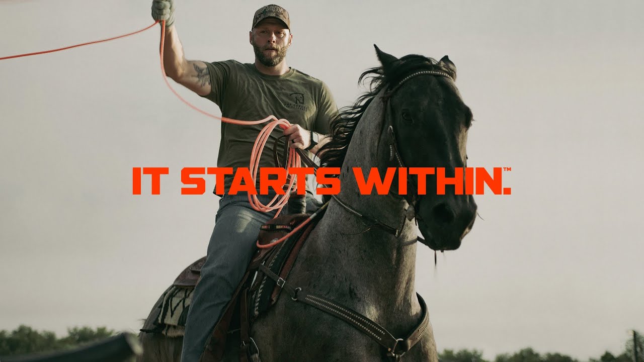 WAR HORSES FOR VETERANS // IT STARTS WITHIN