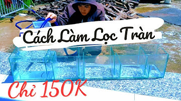 Cách Làm "LỌC TRÀN TRÊN" Tối Đa Hiệu Suất Bể Cá Như Nước Tinh Khiết Chỉ 150K