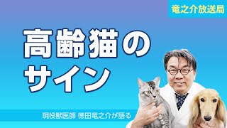 猫の死因1位 腎臓病 症状や治療の方法について 猫 はっちゃん 死因