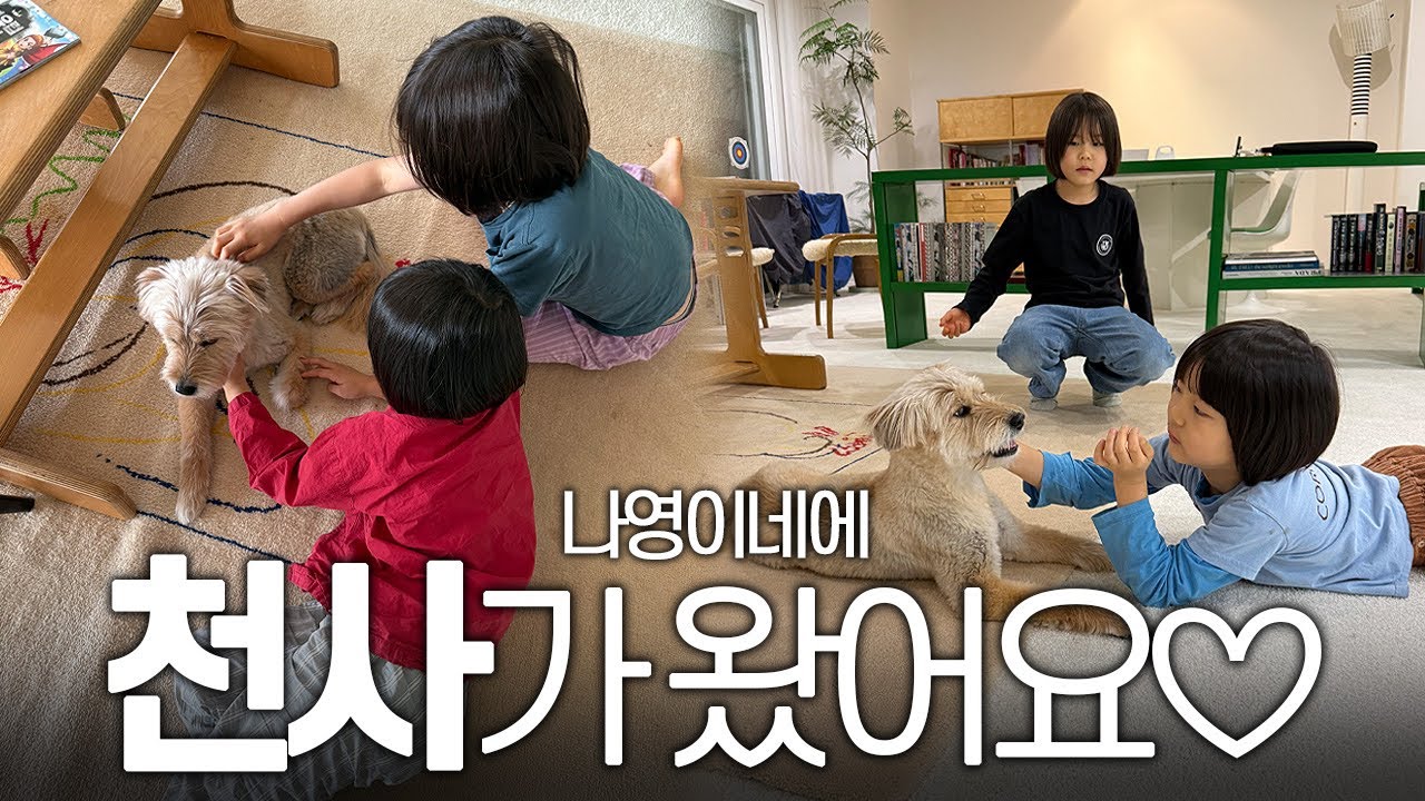 나영이네 집에 강아지가 왔어요🤍순이야 사랑해