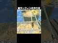 盾サーフィンのやり方【ゼルダの伝説ティアーズオブザキングダム攻略】#Shorts