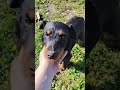 Evo i Lili!