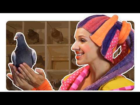 🐦 A Fun Song About Teeth & Sweets for Kids 🦷