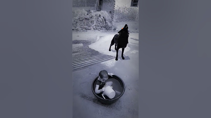 Wolf in Village #wolfsounds #relaxinwolf #animals #wolf #wolfsong #forest #shorts part 274ppo