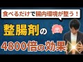 【一撃で改善】食べるだけで腸内環境が整う!最強の食材10選!