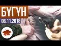 Депутатты атып кетти. Өгөй кызын 3 жыл зордуктаган ата 20 жылга кесилди