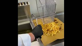 Domina PRO 700 V shape gas fryer french fries