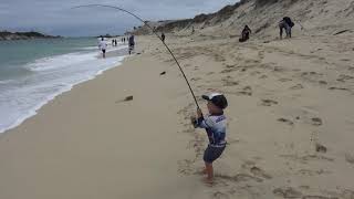 3 year old catching 6kg salmon from the beach