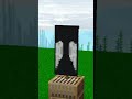 Elytra Banner in Minecraft! @ImElytra