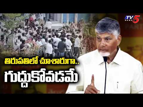 You saw what happened in Tirupati... CM Chandrababu Reaction On Tirupati Local Poll Nominations |...