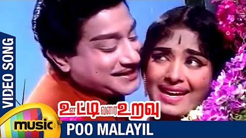 Ooty Varai Uravu Tamil Movie Songs | Poo Malayil Video Song | Sivaji Ganesan | KR Vijaya
