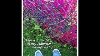 Jammin' Jed Luckless, Grateful Dead, Phish...