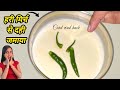 Hari Mirch Se Dahi Jamaya 😱 🌶️ | Experiment Vlog
