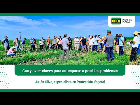 Crea | Carry over: claves para anticiparse a posibles problemas