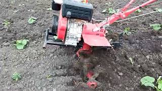 :   Forte 9/#farming    #agriculture