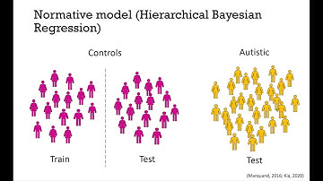 OHBM 2023 | 2992 | Talk | Iva Ilioska | Quantifying the Heterogeneity of Functional Connectivity i…
