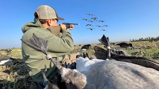 We shot A Rare Rivet Band while Goose Hunting! (Double Banded)