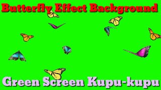 Green screen butterfly / Efek kupu-kupu