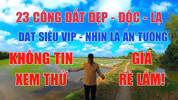 MS 906 | ĐẤT RUỘNG GIÁ RẺ! 23 CÔNG ĐẤT SIÊU ĐẸP, SIÊU ĐỘC, SIÊU LẠ, GIÁ SIÊU RẺ TẠI VĨNH LONG