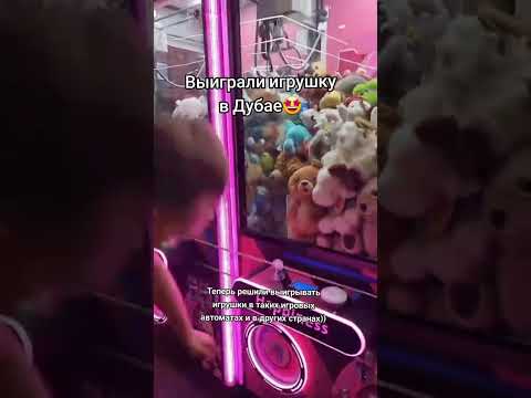 в Дубае на одну игрушку стало меньше