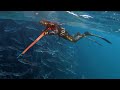 SPEARO LIFE - EPISODE 4 Spearfishing BASS HEAVEN!!! Insane fishing...