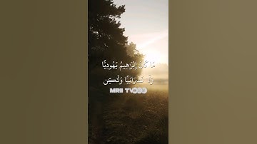 ماهر المعيقلي - سورة آل عمران ( برواية حفص عن عاصم ) الأية 67