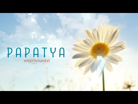 PAPATYA ♫ Fon Müziği (Instrumental)