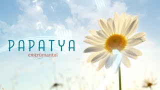 PAPATYA ♫ Fon Müziği (Instrumental) Resimi