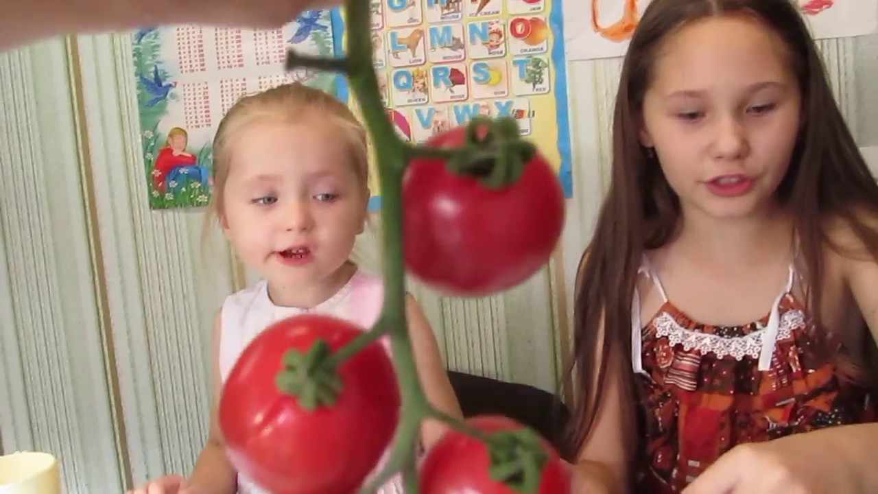 Вкусовые качества томата "Биг Биф, Президент, Аксиома, Спрут черри ...