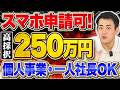 【速報】個人事業主でも最大250万！スマホで申請できる採択率が高い補助金3選！一人社長・一人親方は必ず申請してください！