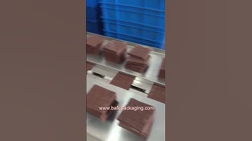 FWL280 Chocolate Wrapping Machine, Horizontal Flow Wrapper, Flow Pack