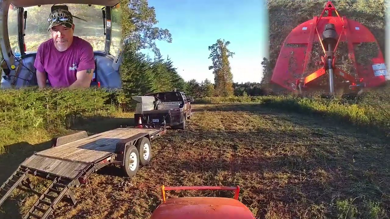 Deer Hunting Land Management 11 YouTube