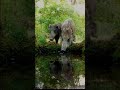 Puiser sa force dans la nature... ❤️🦋🙏