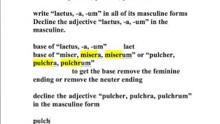 declining 1st and 2nd declension adjectives