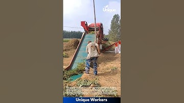 Peanut harvesting: machine harvesting peanuts