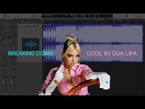 Dua Lipa -