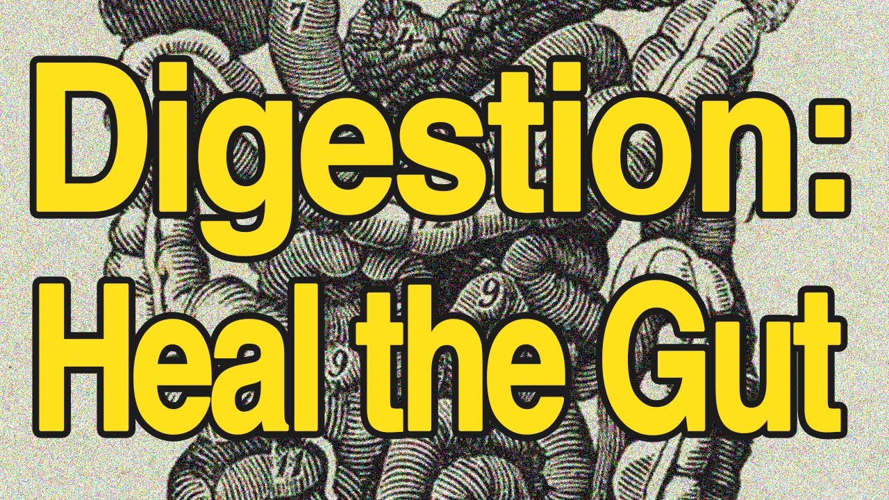 Comprehensive Digestion: How to Heal Your Gut