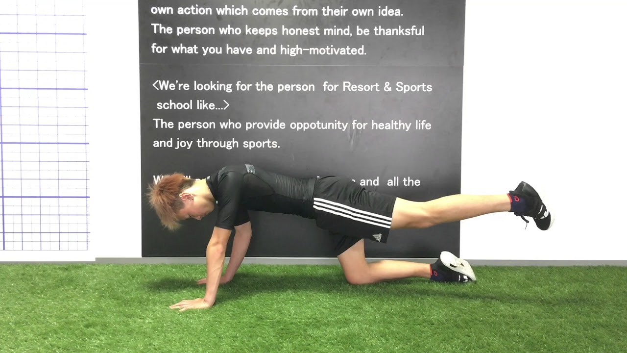 4pt Hip Rotation Youtube