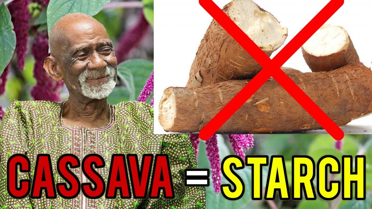 cassava manioc Dr Sebi Explains Why You Shouldn't Eat Cassava