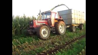 Insilato mais 2014 Az Agr  Fighera: Trincia John Deere 6710+Kemper 4500