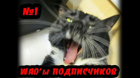 Vetepan Iddqd Youtube