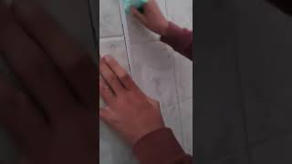 Tag In School Toilet