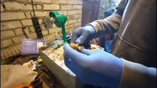 Бизнес на орехах Начало дела