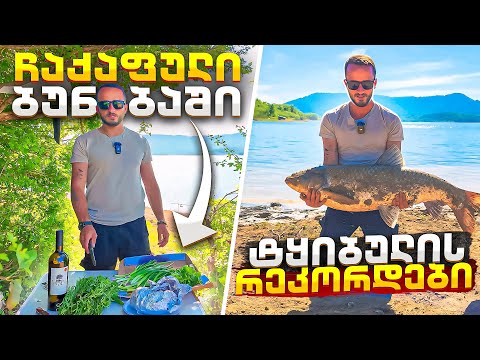 რეკორდული ზომის თეთრი ამური და ბუნებაში მომზადებული ჩაქაფული