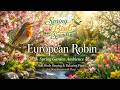 Spring Garden Ambience 🌼 Soft Birds Singing &amp; Relaxing Piano for Deep Focus and Sleep