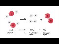 States of Matter and Chemical Changes in Water