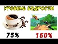 Самые жизненные мемы из Наруто. Аниме мемы