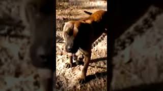 Another Blast From The Past.