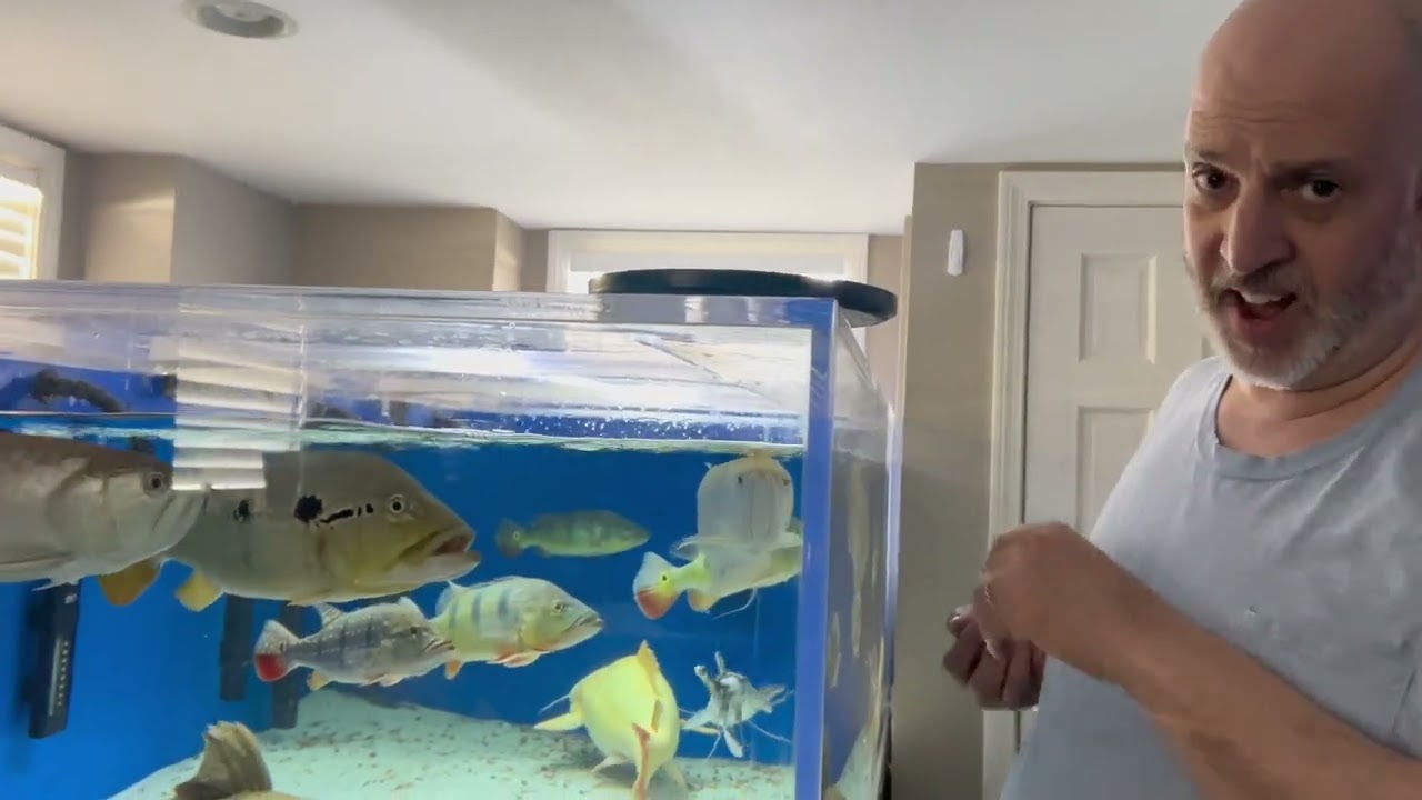 Огромное видео кормления рыб! КОРМИМ МОНСТРОВ🔥🔥🔥