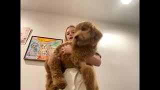 78493307882  795F8B39 ED0E 4B38 BB8D 1292097653FB